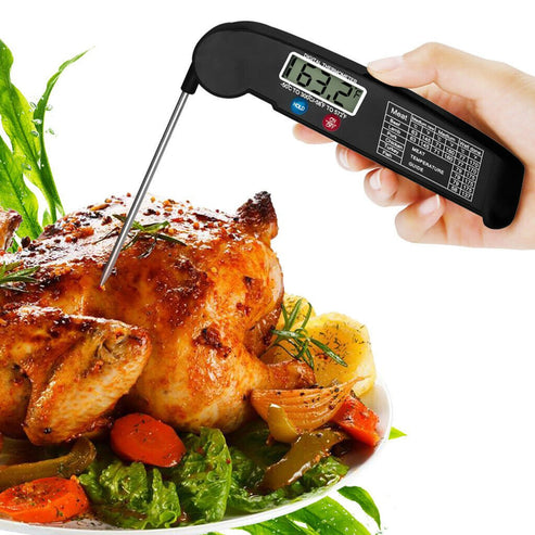 Digital Thermometer for Food with Pivoting Probe